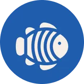 Emergency Dentistry at Dentistry For Children in Sandy and West Valley City, Utah