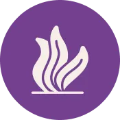 Digital X-Rays at Dentistry For Children in Sandy and West Valley City, Utah